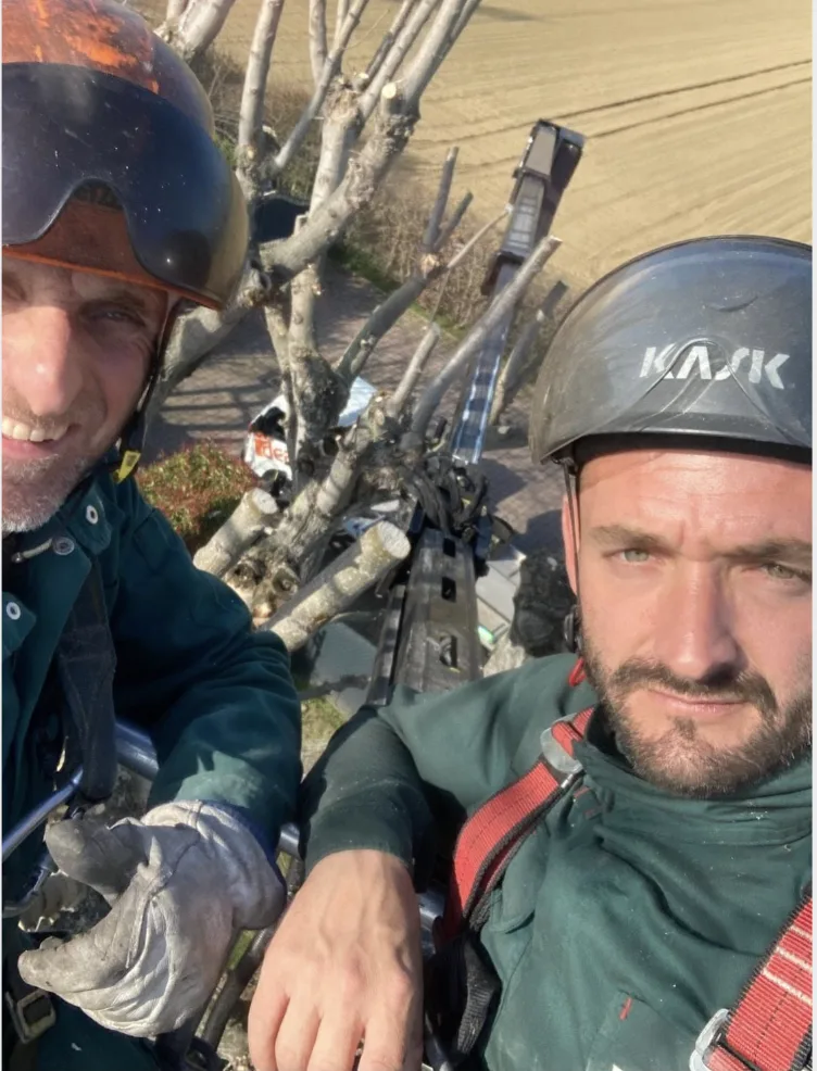 Lavoro Emanuele Franzoni 18